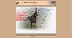 Desktop Screenshot of dobermann-king.eu